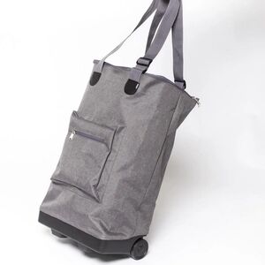 KITCHEN STUFF PLUS Foldable Two Wheeler Shopping Trolley (Light Grey)